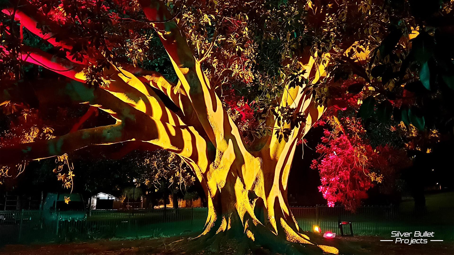 PROLIGHTS Mosaico XL illumina le notti australiane