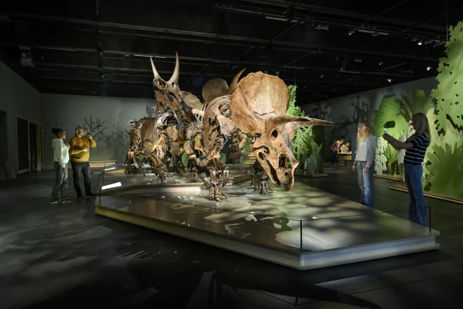 PROLIGHTS Fixtures Illuminate Dinosaurs at Naturalis Biodiversity Cente