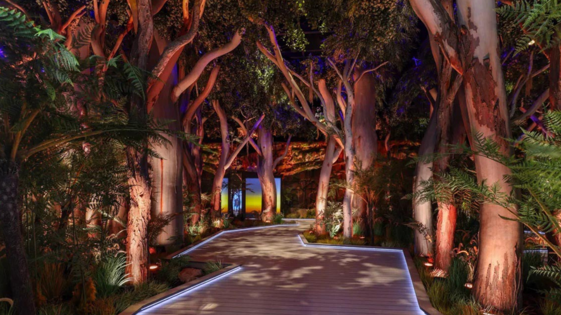 Australia lights up its pavilion at Expo 2025 Osaka with PROLIGHTS