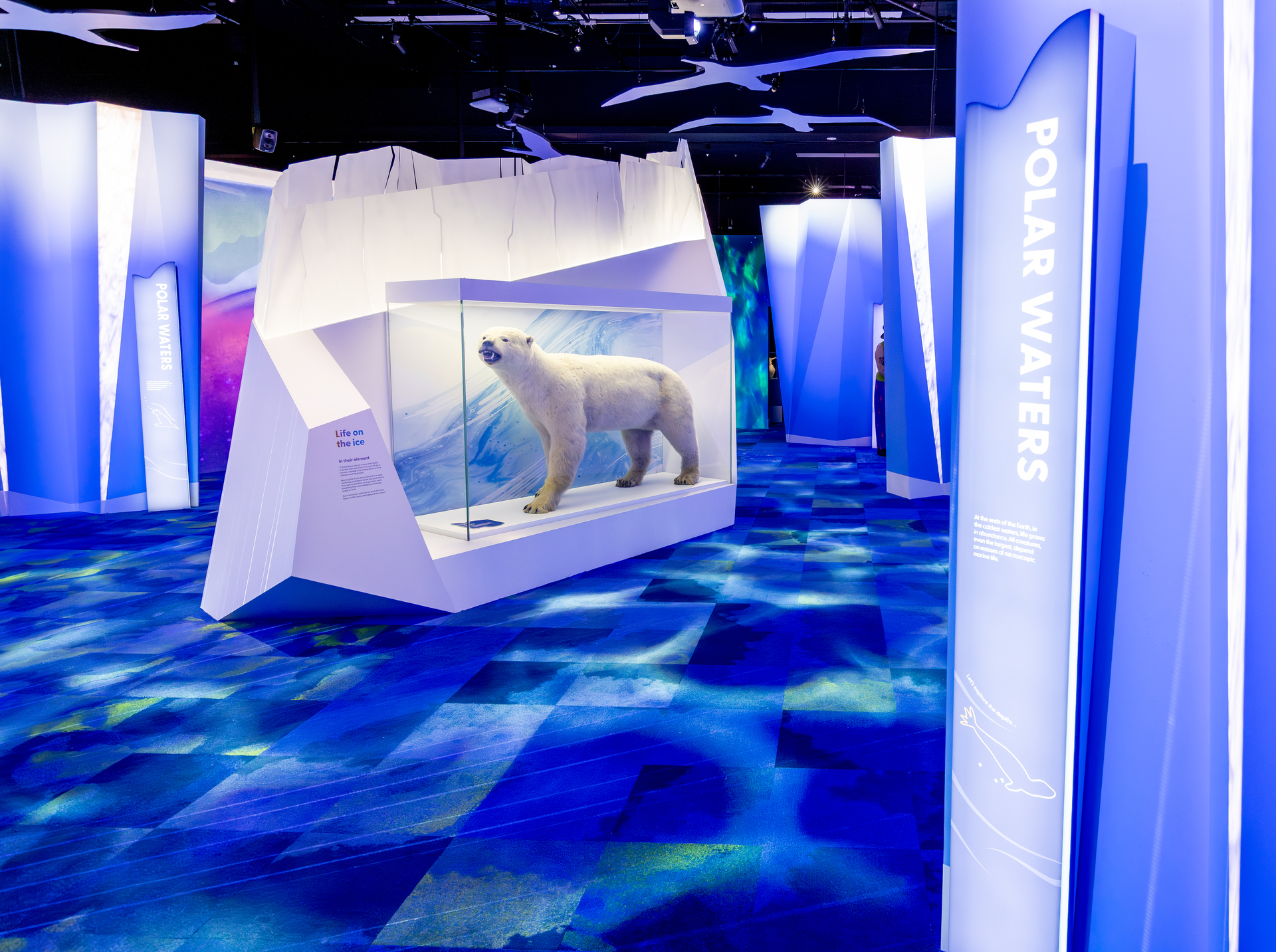 PROLIGHTS lights up Melbourne Museum's ‘Our Wondrous Planet' multisensory journey