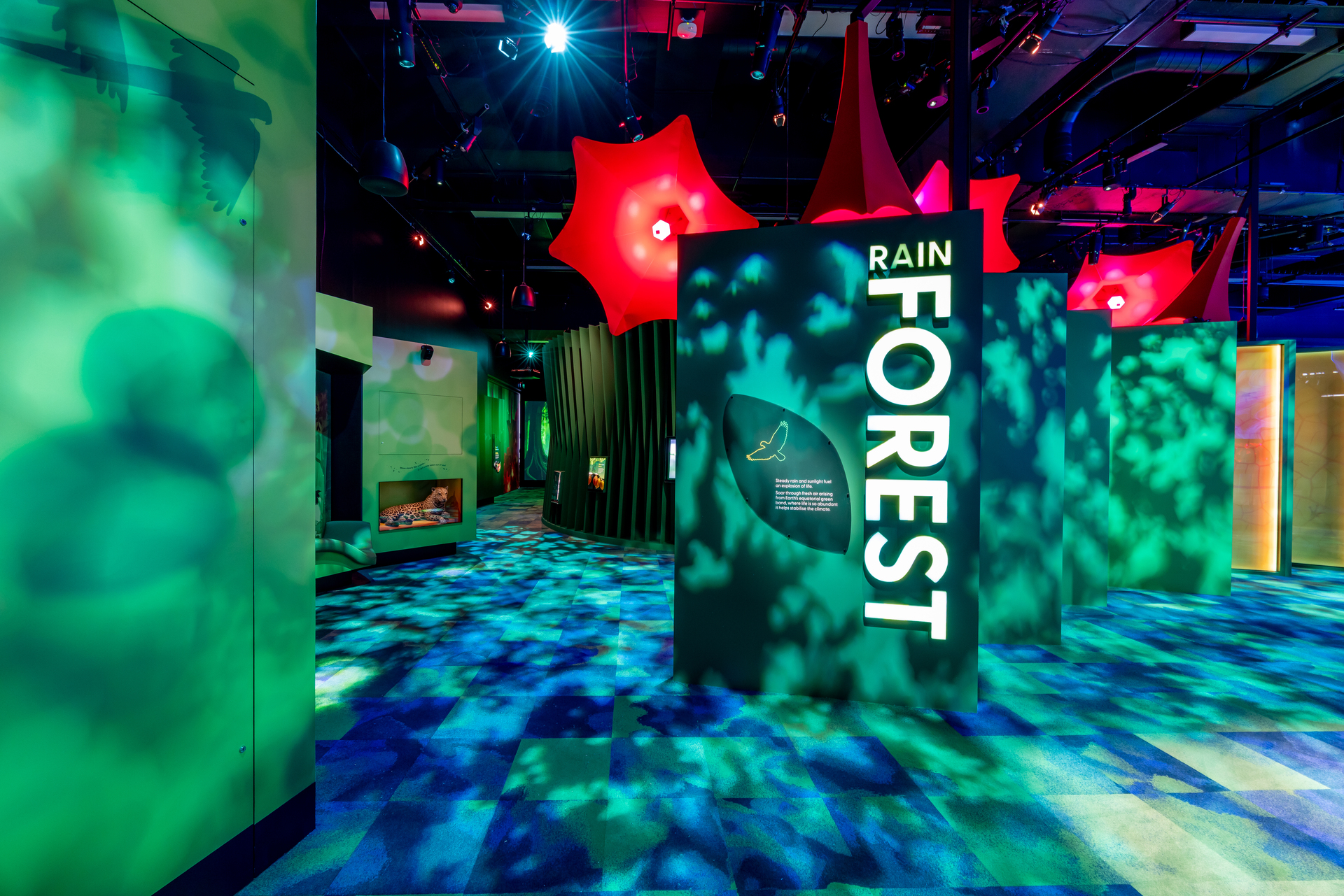 PROLIGHTS lights up Melbourne Museum's ‘Our Wondrous Planet' multisensory journey