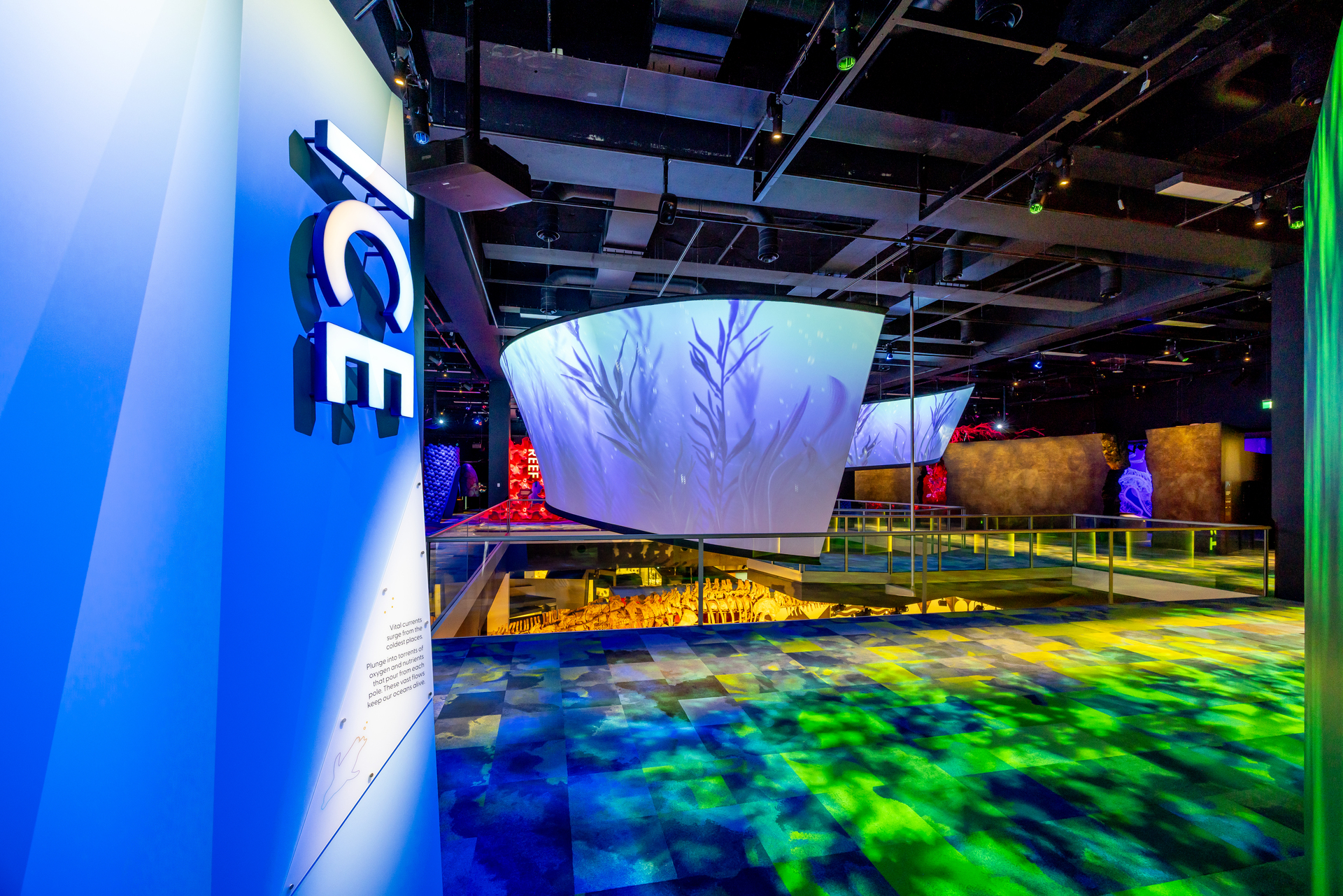 PROLIGHTS lights up Melbourne Museum's ‘Our Wondrous Planet' multisensory journey
